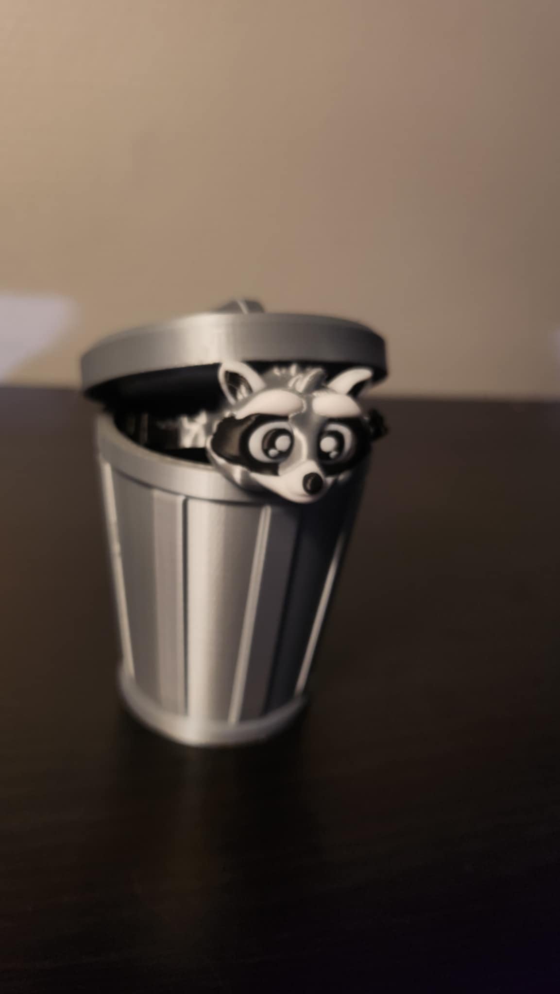 Vaskebjørn med skraldespand