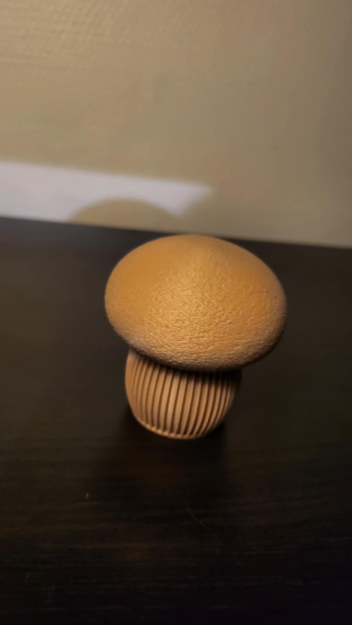 Japandi Dekorative Svampe