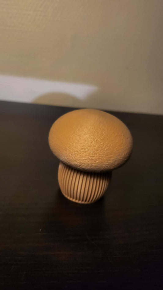 Japandi Dekorative Svampe